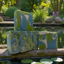 Load image into Gallery viewer, Succulent Garden