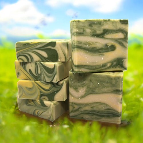 Olive’O ⭐️